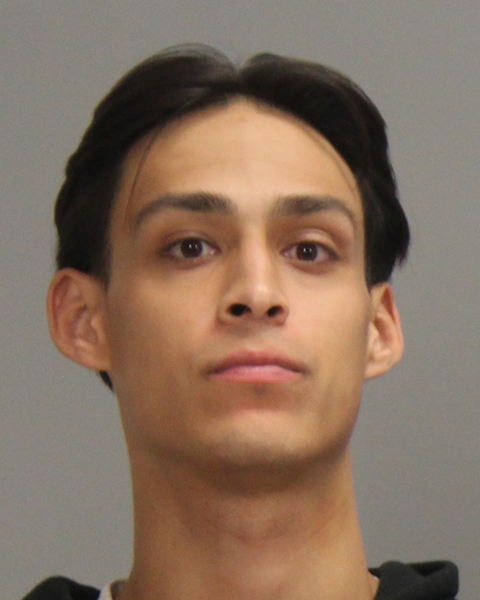 BARRERA, PHOENIX DRU arrested by Brazos County Sheriff’s Office
