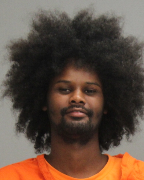 ALI, ABDI IBRHIM arrested by College Station Police Department