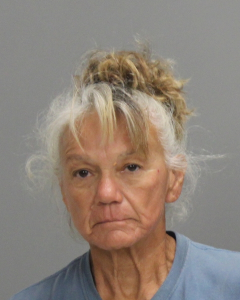 GALVEZ, GRACE TERESA booking photo