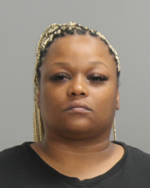 JOHNSON, SYLINNA NICOLE arrested by Bryan Police Department