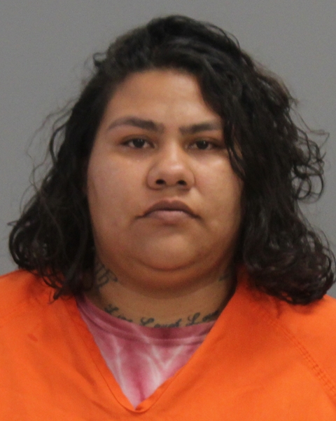 ARENAS, ALICE MARIE arrested by Bryan Police Department