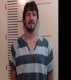 GONZALEZ, NICHOLS AUSTON booking photo