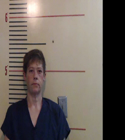 HALL, JULIE LYNN booking photo