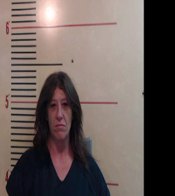 NEEDHAM, KRISTA NICOLE booking photo