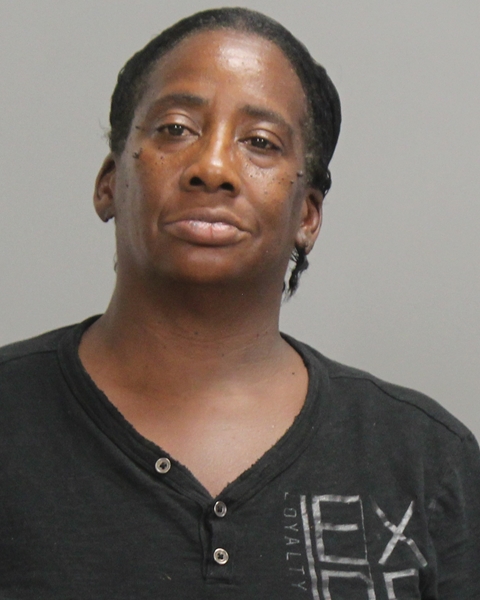 JOHNSON, SONYA LAVETTE arrested by Bryan Police Department