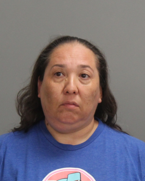 DELAZERDA, AMY L. arrested by Brazos County Sheriff’s Office