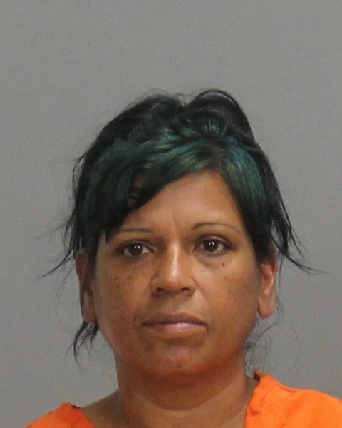 GONZALEZ, PALMIRA arrested by Bryan Police Department