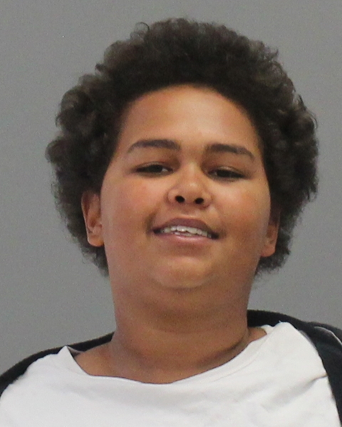 Hallford, Elijah Curtis arrested by Brazos County Sheriff’s Office