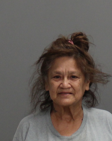 VILLAREAL, DIANA DELON arrested by Brazos County Sheriff’s Office