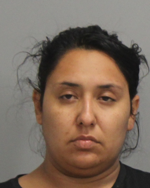 CASTILLO, DANIELLE ANN arrested by College Station Police Department