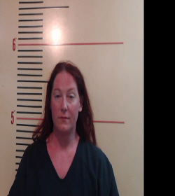 HARRIS, SARA MICHELLE booking photo