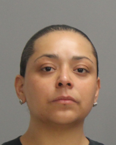 CASTILLO, JEANIE arrested by Bryan Police Department