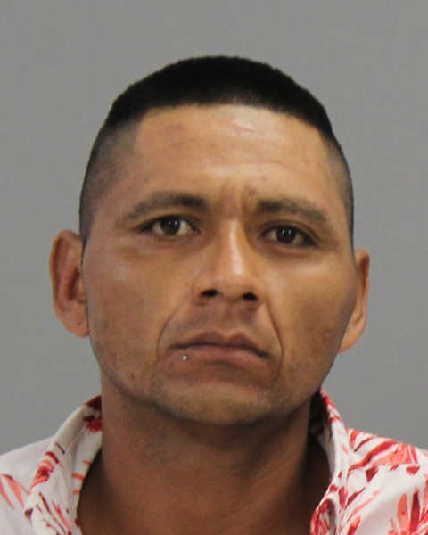 GONZALEZ-GUILLEN, MARIO arrested by Immigration and Customs Enforcement