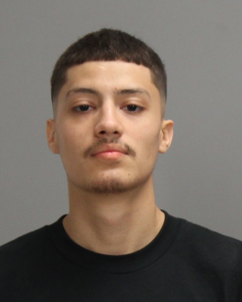 HERRERA SONORA, BRANDON arrested by College Station Police Department