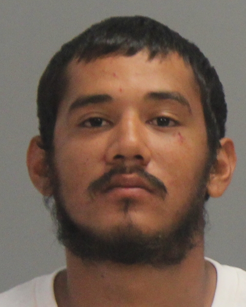 DELUNA, BERNARDO booking photo