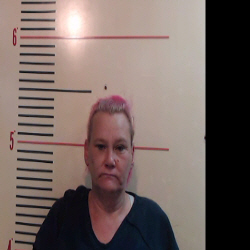 HAMILTON, CANDY LANETTE booking photo