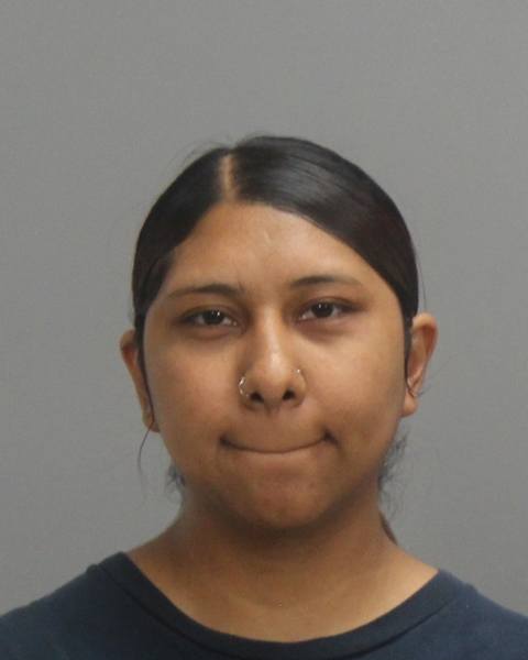 GONZALEZ, GRISELDA arrested by Bryan Police Department