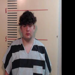 GONZALEZ, AUSTIN PATRICK booking photo