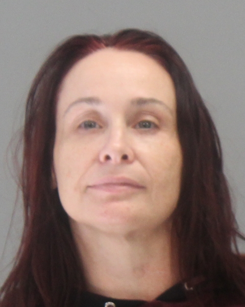 JOHNSTON, ALICIA arrested by Brazos County Sheriff’s Office