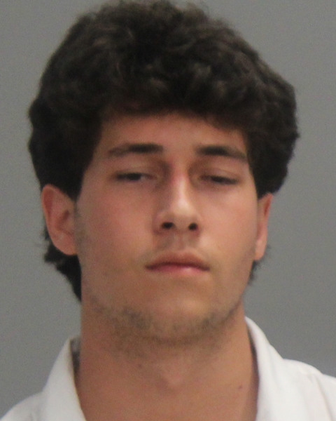 BURRELL, JOSHUA RYAN booking photo