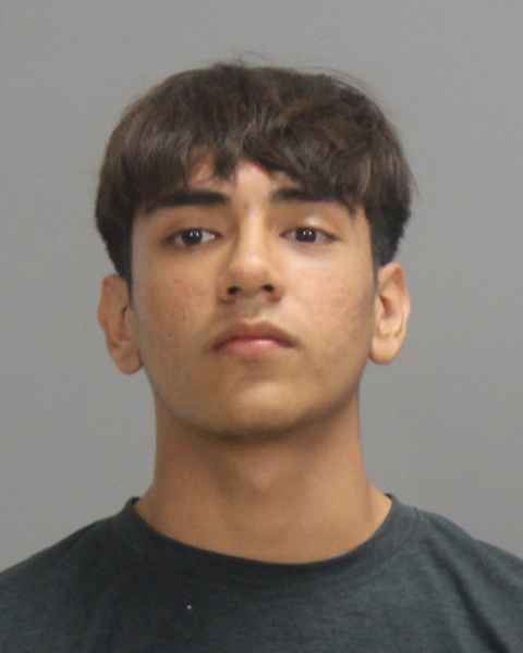 DELGADO MARTINEZ, LOUIS CARLOS arrested by Bryan Police Department