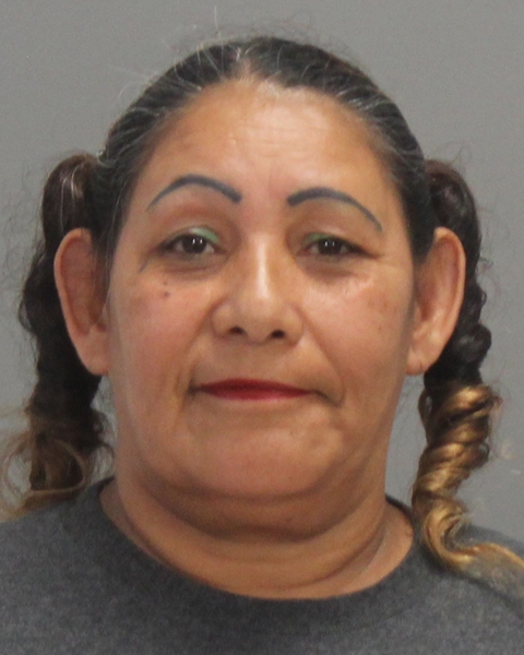 GALINDO, MILLISA ANN arrested by Bryan City Marshall