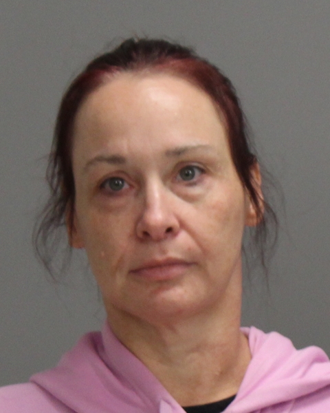 JOHNSTON, ALICIA arrested by Bryan Police Department