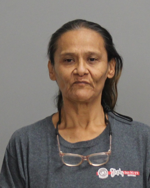 DIAZ, FRANCES arrested by Bryan Police Department