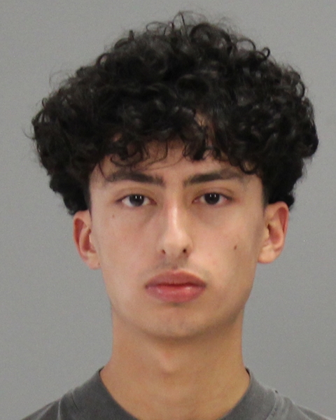 BELLO, NICOLAS booking photo