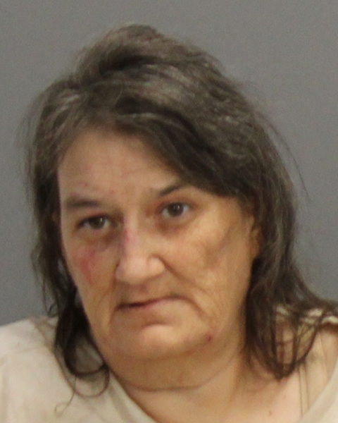 HOWELL, AMY MARIE arrested by Bryan Police Department