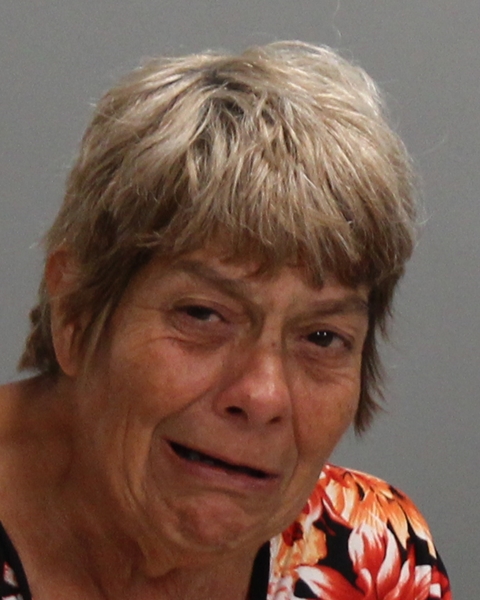 GOMES, ANNETTE TERESA arrested by Bryan Police Department