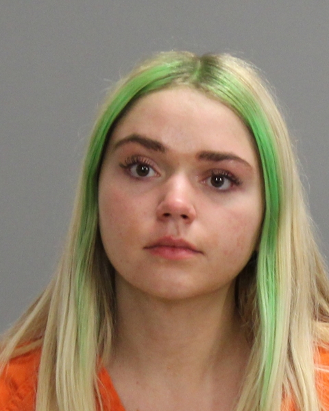 JOHNSON, ELLIE REESE arrested by College Station Police Department