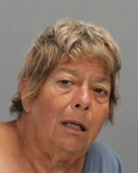 GOMES, ANNETTE TERESA arrested by Bryan Police Department