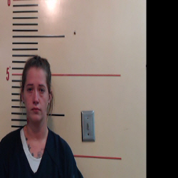 GARVIN, JESSICA DEE booking photo