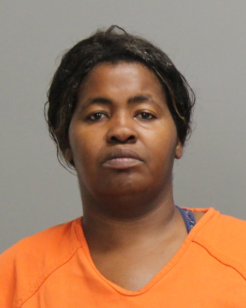JOHNSON, SOPHLIA MARIE arrested by Brazos County Sheriff’s Office