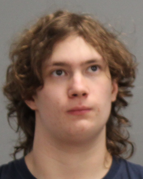 BERT, ANDREW booking photo