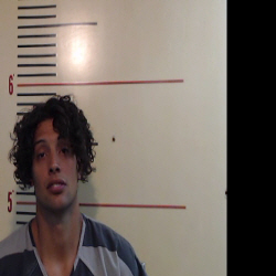 Harper, Cody Lane booking photo