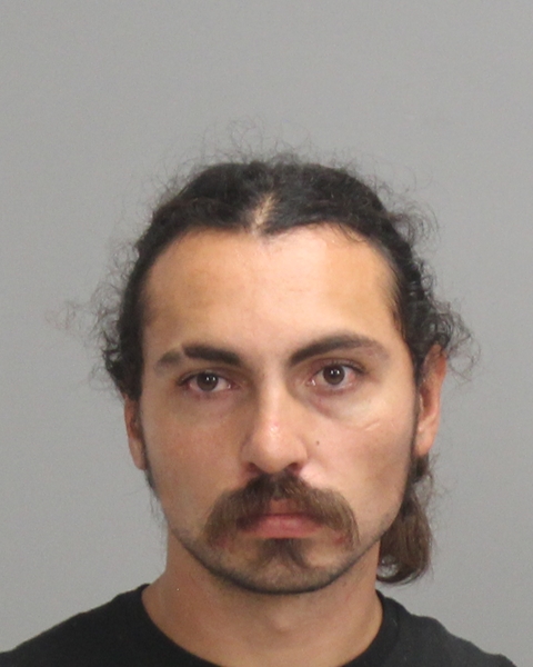 HOLMDOHL, BRYAN ALEXIS arrested by Brazos County Sheriff’s Office