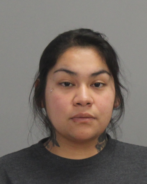 ARENAS, ALEXIS arrested by Brazos County Sheriff’s Office