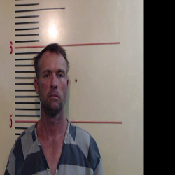 GIBBONS, ROGER DALE booking photo