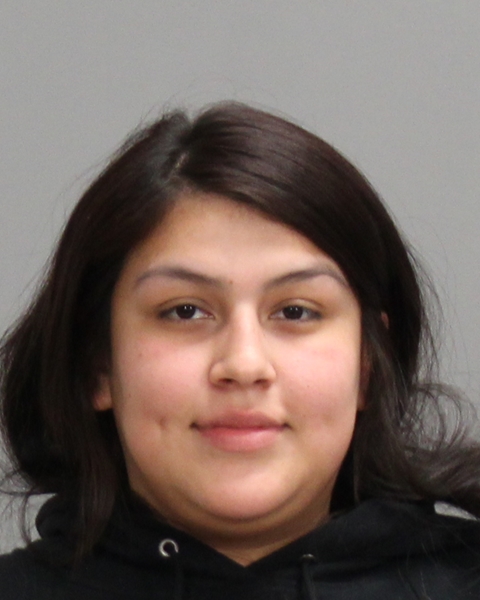 CHAVEZ, SARAH ANN arrested by Bryan Police Department