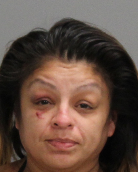 CORTEZ, SYLVIA arrested by College Station Police Department