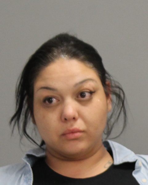 CASTILLO, VICENTA MARIANA arrested by Bryan Police Department