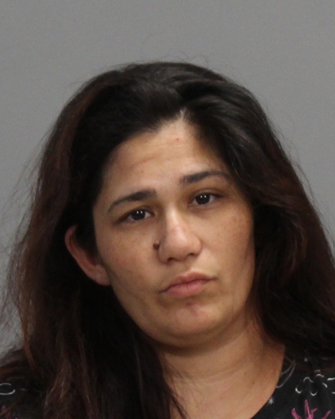 HERNANDEZ, ERIKA CARMEL arrested by Bryan Police Department