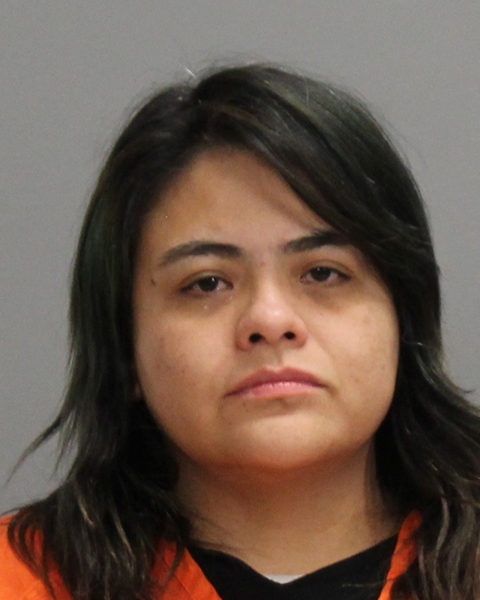 GONZALEZ AVILEZ, EMMA MADONA arrested by Brazos County Sheriff’s Office