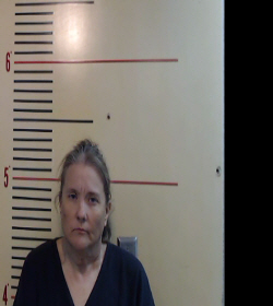 HERNANDEZ, MICHELLE booking photo