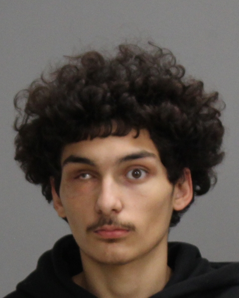 ALVARADO, NICHOLAS MANUEL arrested by Bryan Police Department