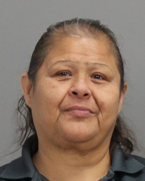 ARENAS, NANCY ANN arrested by Bryan Police Department