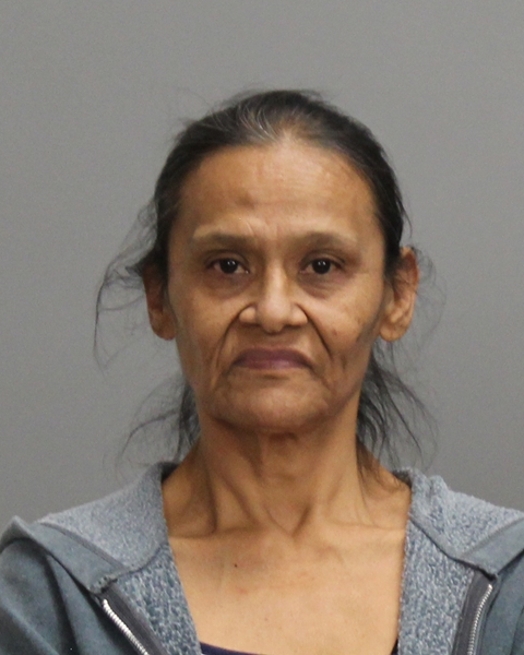 DIAZ, FRANCES arrested by Bryan Police Department