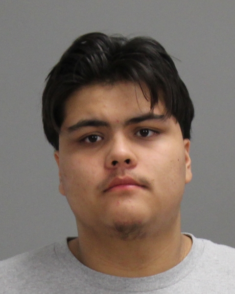 Arenas, Madyx Everjake arrested by Bryan Police Department